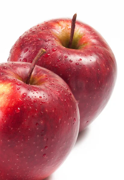 Several red apples on white background — Stock Photo, Image