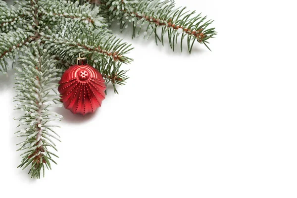 クリスマス ツリーと鮮やかな赤 b の雪枝で覆われています。 — ストック写真
