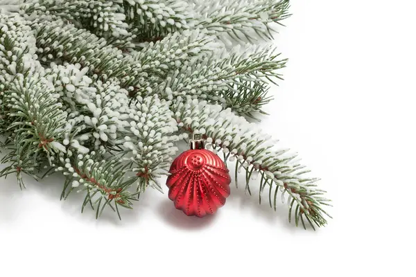クリスマス ツリーと鮮やかな赤 b の雪枝で覆われています。 — ストック写真