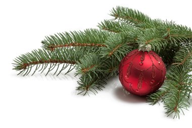 bir Noel ağacı ve parlak kırmızı top dalı ile kaplı