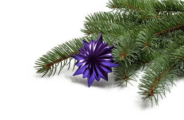 Bedekt met tak van een kerstboom en diep paarse ster te behalen en — Stockfoto