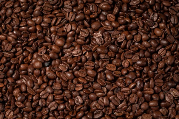 Rostade kaffebönor — Stockfoto