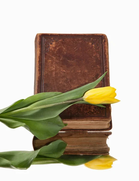 Old book and flower on white background — Stock Photo, Image