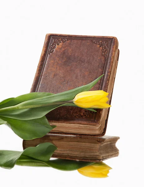 Старая книга и цветок на белом фоне — стоковое фото