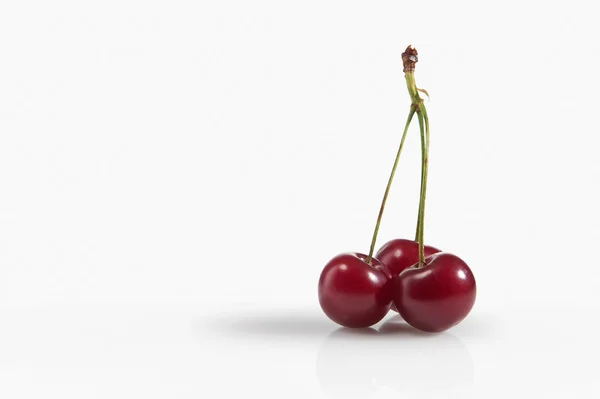 Vários doce cereja madura no fundo branco — Fotografia de Stock