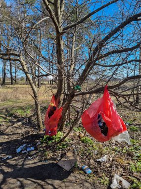 Yasadışı çöplük. İçinde plastik poşetler, cam şişeler ve kağıt ambalajlar olan çöp yığını. İnsanlar çevreyi kirletiyor..