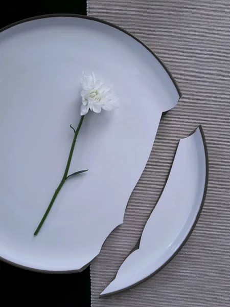 Single chrysanthemum flower lay on the broken plate. White daisy over white dining plate. Broken dreams and loneliness.