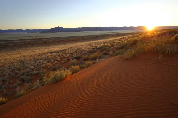 Kalahari zonsopgang — Stockfoto