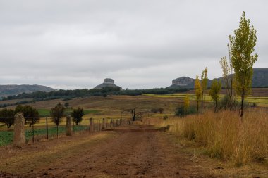 Farm Road