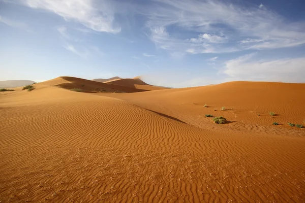 Patterns in the sand — Stock Photo, Image