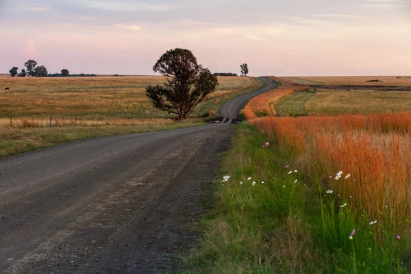 Ücretsiz durumunu stabilize yol
