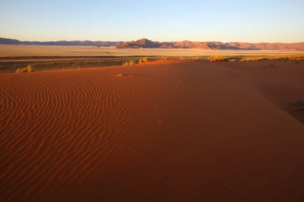 Namib dune and Tiras Mountains — Stock Photo, Image