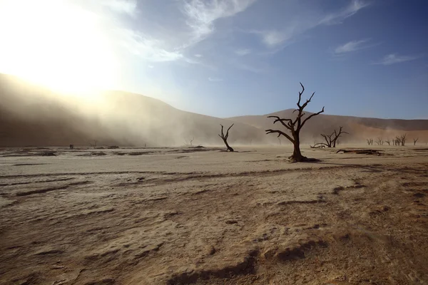 Sandstorm in Dooievlei — Stock Photo, Image