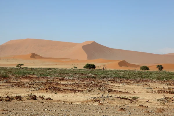 Namib sand dunes — Stock Photo, Image