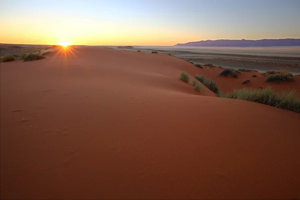 Kalahari Sunset — Stockfoto