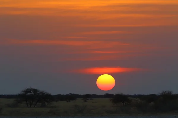 Nxai Pan Sunset — Stock Photo, Image