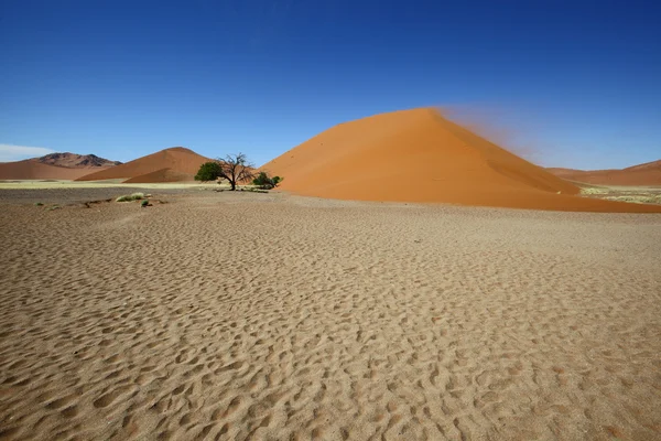 Diferentes cores da areia na Duna 45 — Fotografia de Stock