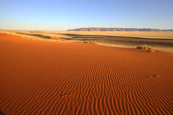 Patronen in het zand — Stockfoto