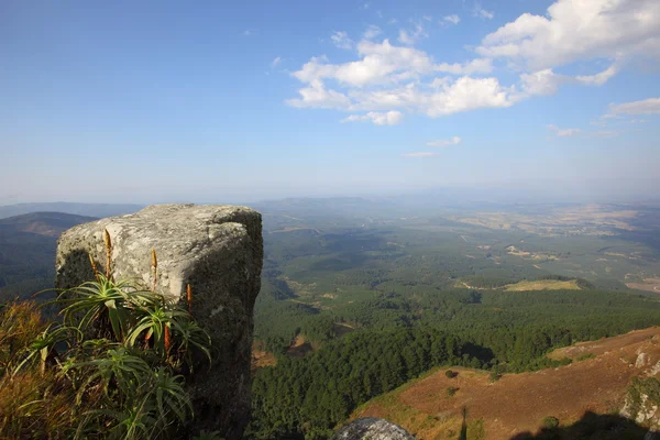 kaapsehoop görüntüleme