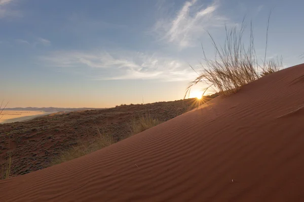 Solnedgång på elim dunes — Stockfoto