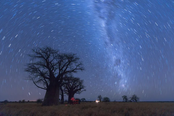 Baines Baobab Strartrail — Photo
