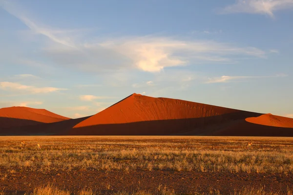 Vysoké písečné duny v namib naukluft np — Stock fotografie