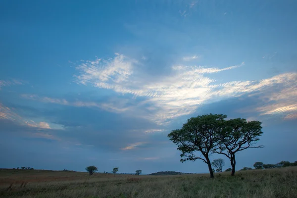 Grande céu africano em Ezemvelo — Fotografia de Stock