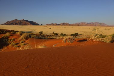 gün batımında elim tepeleri
