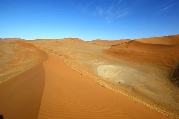 Freshly wind swept dune at Sossusvlei — Stock Photo, Image