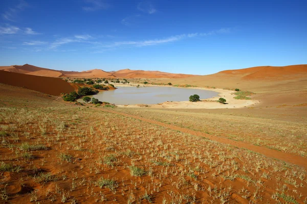 Sossusvlei — Stock Photo, Image