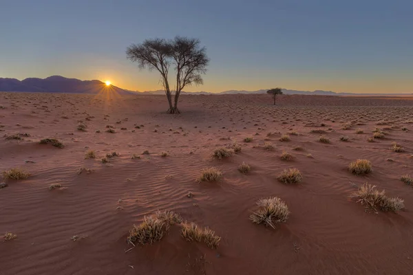 Laatste Zonnestralen Woestijn — Stockfoto