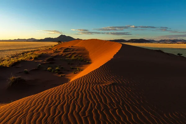 Wind Swept Patterns Red Sand Dune Namibrand Namibia — Stockfoto