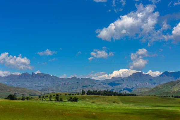 งหญ ยวและท องฟ งเขาของภ เขา Drakensberg แอฟร กาใต — ภาพถ่ายสต็อก