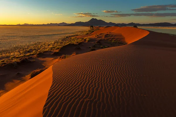 Wind Veegde Patronen Het Zand Duin Namib Woestijn Namibië — Stockfoto