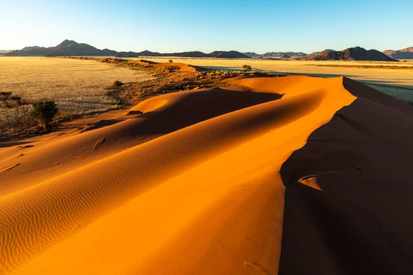 Soleil Matin Colore Sable Sur Dune Namib Desert Namibia — Photo