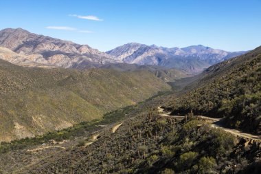 Gamkaskloof Karoo Güney Afrika 'daki vadinin bir tarafında.