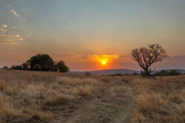 Κίτρινο Ηλιοβασίλεμα Στο Magaliesberg Νότια Αφρική — Φωτογραφία Αρχείου