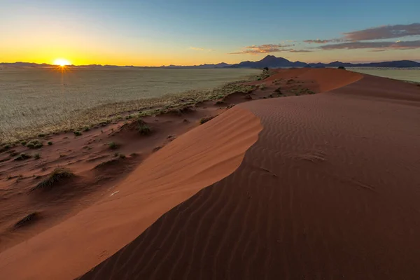 Zonsopgang Bij Zandduin Namibische Woestijn Namibië — Stockfoto