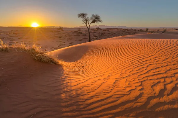 風は赤砂砂丘ナミビアのパターンを掃引 ストックフォト