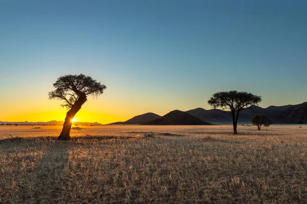 Namib Çölü Namibya 'da güneş doğarken yıldız patlaması