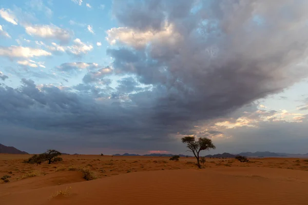 Nuages Bleus Dunes Sable Rouge Dans Désert Namibien Namibie — Photo
