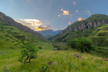 Yeşil vadi Drakensberg Güney Afrika 'da günbatımında sarı bulutlar