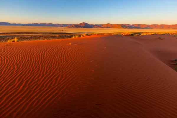 Röd Sanddyn Vid Solnedgången Namiböknen Namibia — Stockfoto