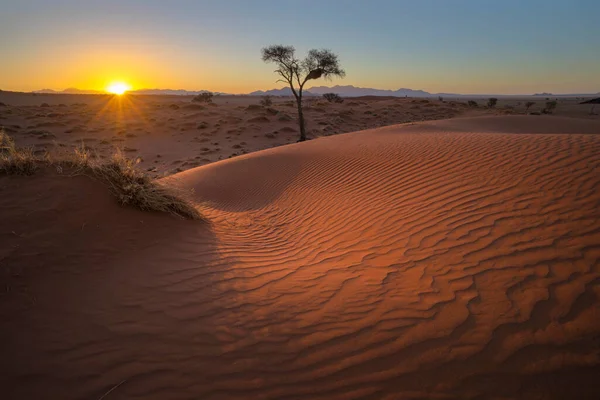 Wiatr Zamiatał Wzory Czerwonej Wydmie Sunet Namibia — Zdjęcie stockowe