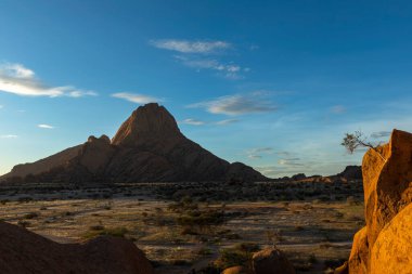Small tree on rock at Spitzkoppe Namibia