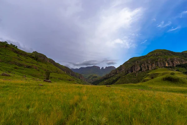 Césped Verde Valle Montaña Drakensberg Sudáfrica —  Fotos de Stock