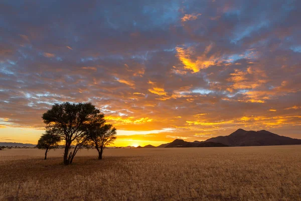 Sun Horizon Color Clouds Yellow Greenfire Desert Lodge Namibia — Zdjęcie stockowe