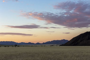 Pink clouds at sunset aboe yellow dry grass Namibia