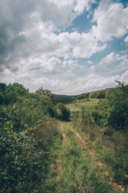 Ormana giden yol. Dağlar. Sakin ol. Telaşa gerek yok. Yaratıcı işlem. dikey