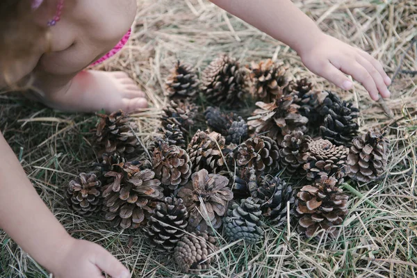 Ruhe Wald Mit Kindern Herbst Zapfen — Stockfoto